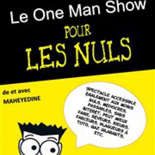 Le One Man Show Pour Les Nuls