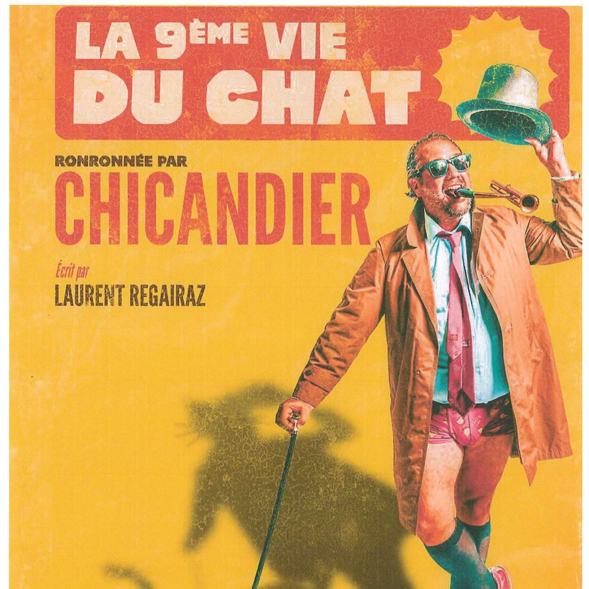 Jason Chicandier - La 9ème vie du chat