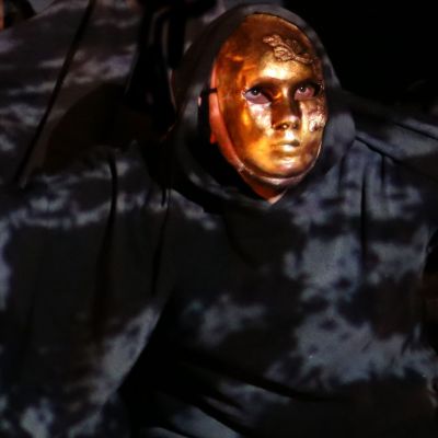 La Malédiction du cygne