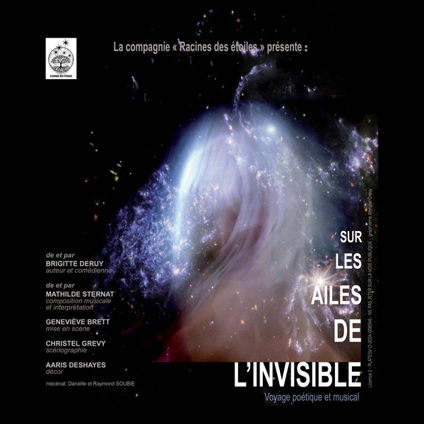 Sur les ailes de l'invisible